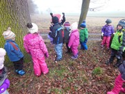 Výprava do lesa, krmení zvířátek